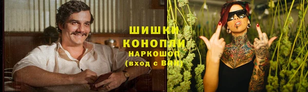 ГАЛЛЮЦИНОГЕННЫЕ ГРИБЫ Дмитровск