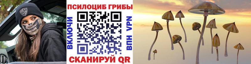 Галлюциногенные грибы Psilocybe Королёв