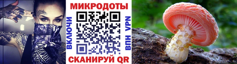 мега ссылка  Королёв  Псилоцибиновые грибы Magic Shrooms 